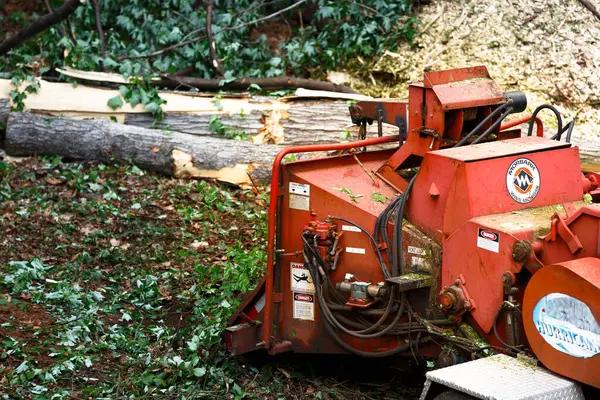 Finding the Best Tree Removal Company Near Me Made Easy