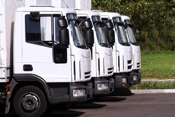 Finding the Right Toronto Trucking Company for Your Transportation Needs