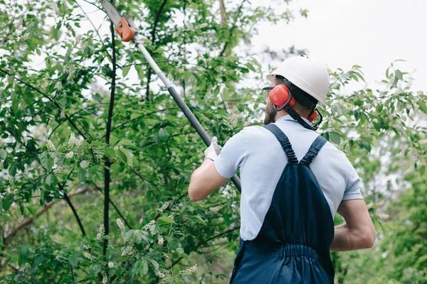 Tree Wise Men of Madison Reliable Arborist Services for Every Season