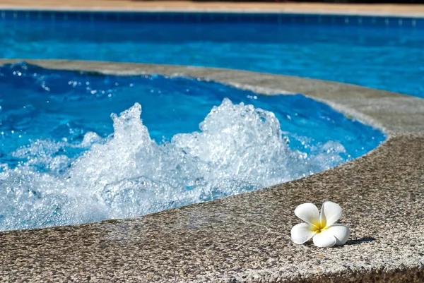 Pool Remodeling Service for Transforming Older Swimming Pools