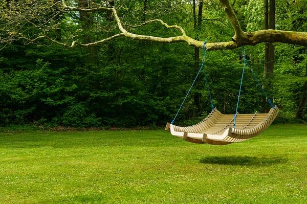 Designing Your Own Slice of Nature: The Urban Garden Revolution